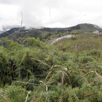 Alpe d'Huez