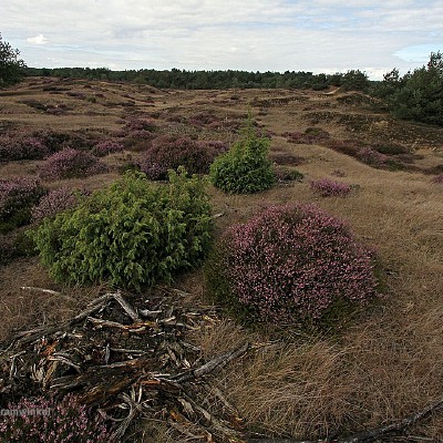 Caitwickerzand