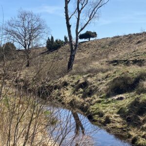 Langs de Wolfhezer beek