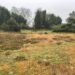 De Berenkuil in Grollo